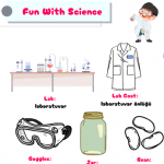 4th grades unit 6 Fun with Science download